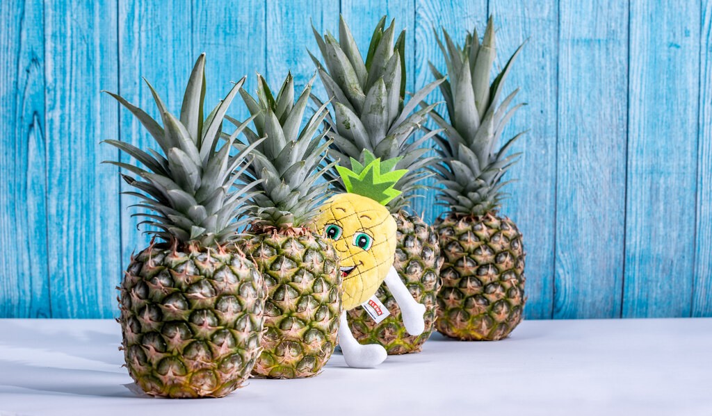 Mascot Elenius Pineapple