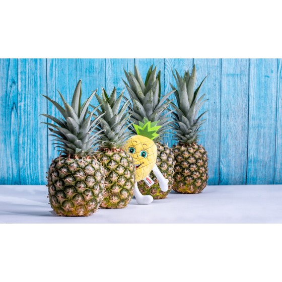 ELENIUSZEK Pineapple Mascot